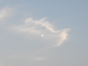 ウリボウ雲.jpg