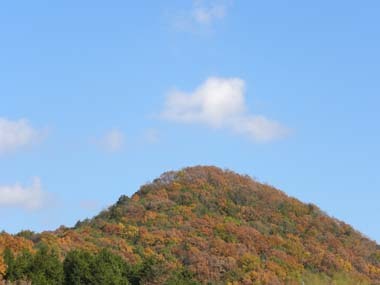 秋の小山02.jpg
